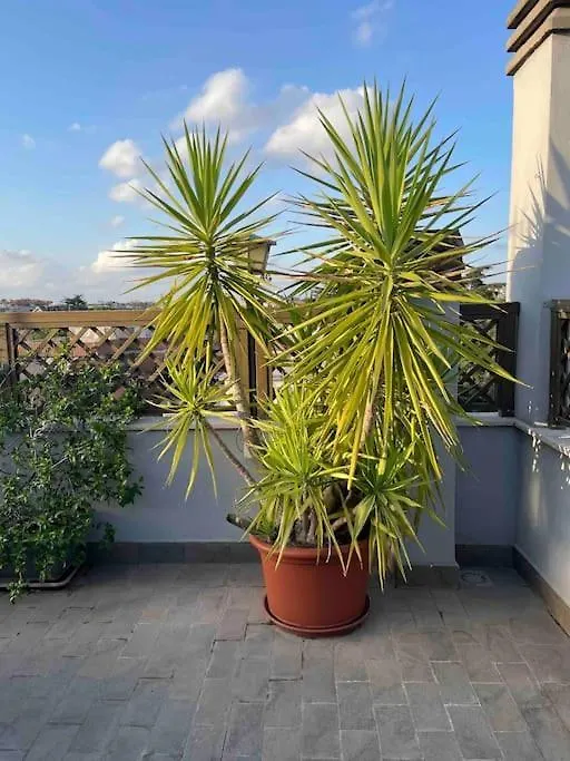 Terrazza Talenti Apartment Rome 0*,